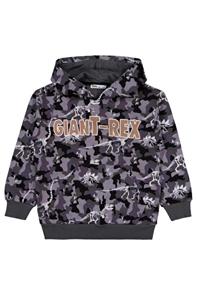 Civil Boys Суитшърт с качулка и принт Giant Rex за деца на възраст 10-13 годи...