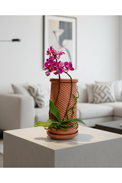 Hidroponik Saksı Hidroponik El Yapımı Çömlek Saksı | Topraksız Bitki Yetiştirme Dekoratif Masaüstü Tasarım