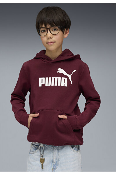 Puma ESS No. 1 Logo Fleece Hoodie Youth