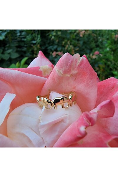 FasekGold Fil Bereket 925 Ayar Gümüş Yüzük-925 Ayar Taşsız Hediye Gümüş Yüzük