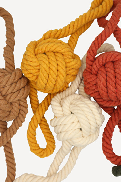 Eva & Wall-e Bulk Rope Dog Toy with Ball in the Middle | Durable Pull String Fetch Ball for Small, Medium and Large Breeds