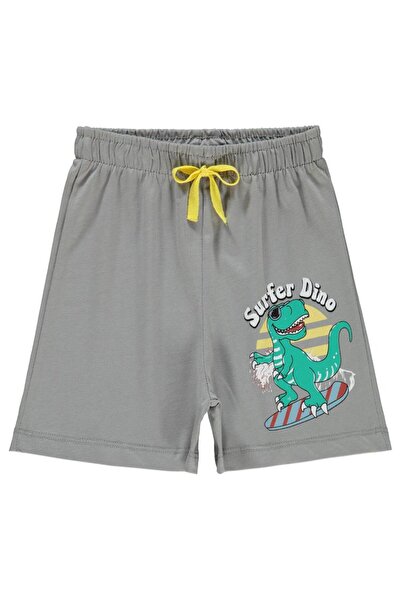 Civil Boys Surfer Dino 2-5 Years Shorts - Gray 3-4 Years