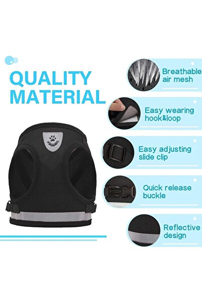 EDA LUXURY BEAUTY 2-Piece Special Dog Cat Luxury Highlighter Collar & Travel Outfit Small Breed Fancy Pet Leash Set