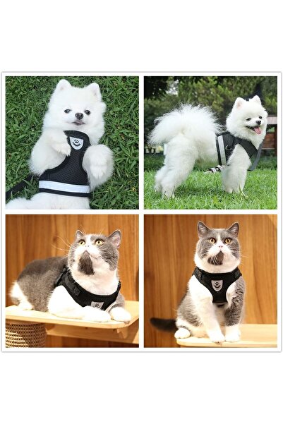 EDA LUXURY BEAUTY 2'li Özel Köpek Kedi Lüks Fosforlu Göğüs Tasması & Gezdirme Kıyafeti Küçük Irk Süslü Pet Leash Set