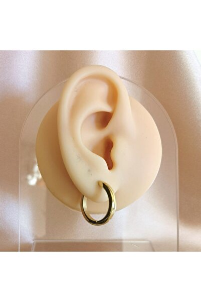 Bylin Takı أقراط دائرية من الفولاذ الجراحي. القطر 14 ملم السمك 2.5 ملم