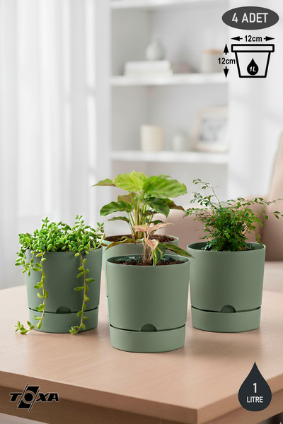 ToXA 4 Adet 0.95 Litre Yeşil Begonya Saksı Küçük Boy Tabaklı Dekoratif Mat Pl...