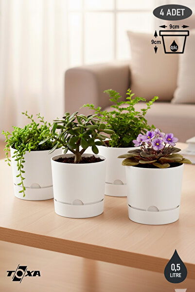 ToXA 4 Adet 0.5 Litre Beyaz Begonya Saksı Küçük Boy Tabaklı Dekoratif Mat Plastik Saksı