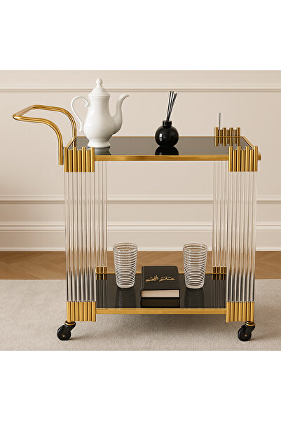 HOMEZ NEED عربة تقديم طعام من طبقتين - زجاج أسود بمقبض حديدي وأربعة جوانب أكريليك