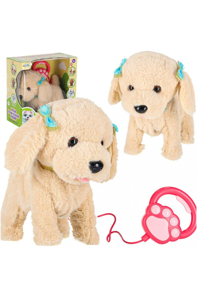 Ikonka Catelus Pudel interactiv pentru copii din plus, cu lesa, misca din cod...