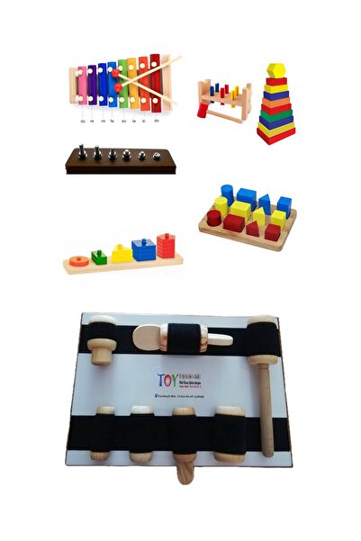 Toy Oyuncak Okul Öncesi Ahşap Oyuncak Montessori Kavram Seti Anaokulu Özel Eğ...