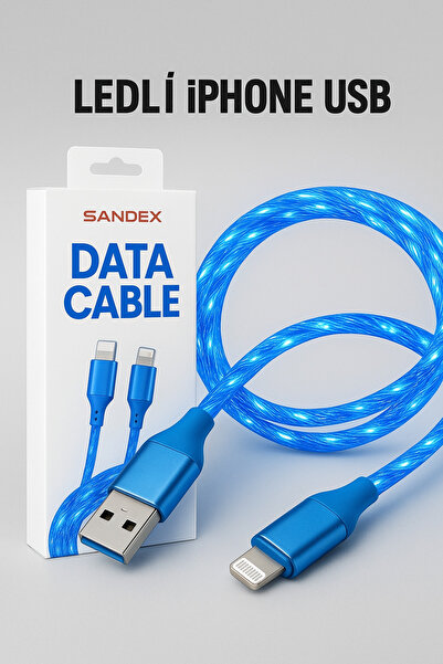 Sandex Sandsx Şarj aleti