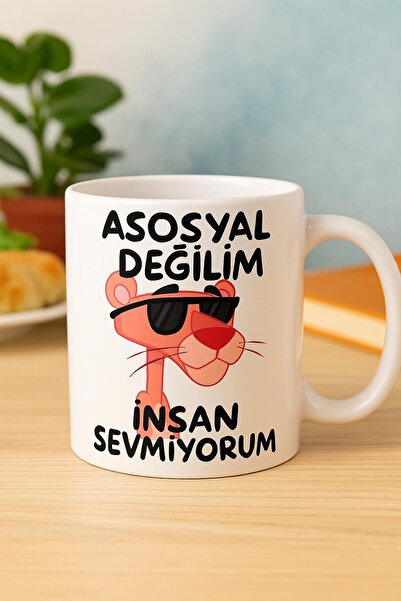 uğurlu dükkan ASOSYAL DEĞİLİM İNSAN SEVMİYORUM BARDAK