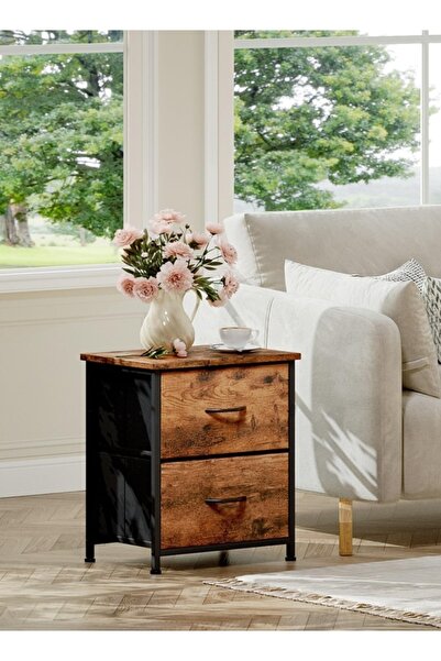 Bangiga Nightstand with 2 Fabric Drawers,Simple Bedside Table,End Table for Bedroom/Living Room (Brown)