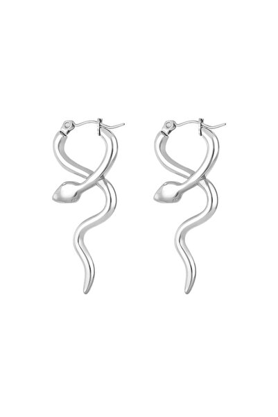 Daniel Klein DKJ.5.30005-2 Çelik Gri Renk Kadın Küpe