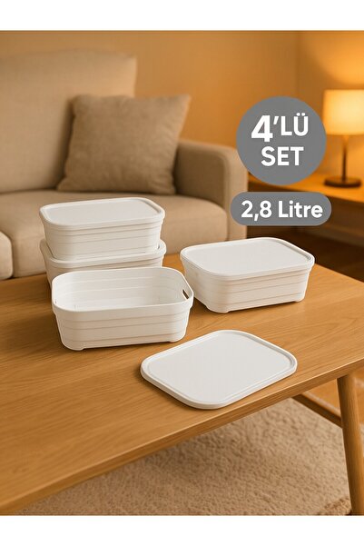 Nesto Home 4'lü Set Çok Amaçlı Renkli Kutu Kapaklı Ofis Organizeri 4x2,8 litre