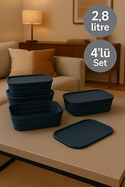 4-Piece Set Multi-Purpose Color Box Office Organizer with Lid 4x2.8 liters