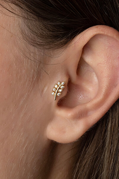 Altın Dal Tragus Piercing