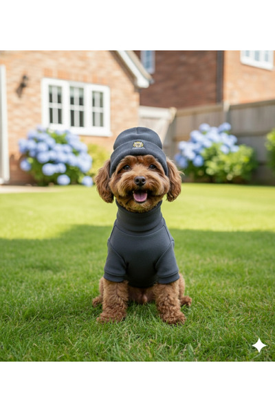 Lokums طقم ملابس وقبعة للكلاب مصنوع يدويًا من قماش ريبانا (للفئات الصغيرة وال...