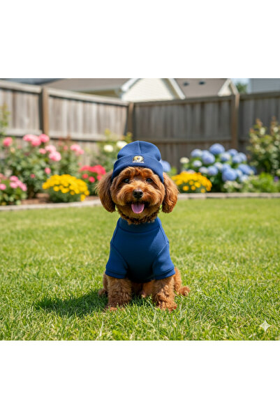 Lokums طقم ملابس وقبعة للكلاب مصنوع يدويًا من قماش ريبانا (للفئات الصغيرة وال...