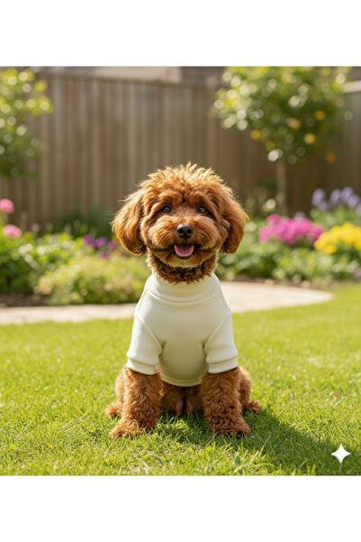Lokums ملابس أساسية للكلاب مصنوعة يدويًا (لكلاب السلالات الصغيرة والمتوسطة)
