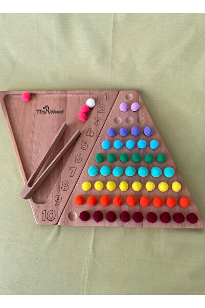 tiny wood Eğitici Oyuncak Montessori Ahşap Sayı ve Renk Eşleştirme Oyunu