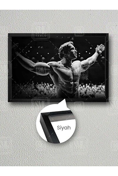 SML TABLO Fitness Spor Salon Motivasyon Arnold Schwarzenegger Mr Olympia Post...