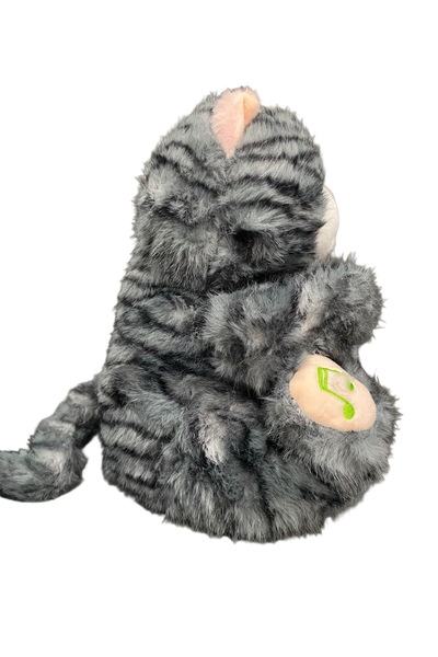 Store Uyku arkadaşı nefes alıp veren popüler kedi