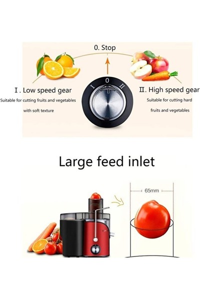 Denx Electric Juicer Machine 800W For Fruits and Vegetables, 500ml Capacity, Stainless Steel Filter
