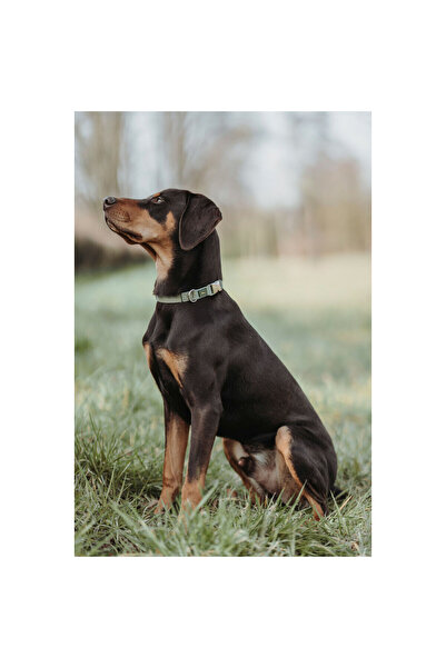 Hunter Zgardă pentru câini verde 45-65 cm