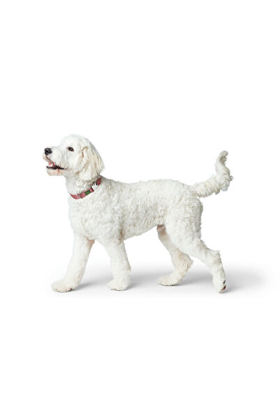 Hunter Dog collar Inari Red XL 45-65 cm