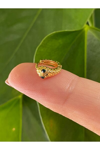 kurukafagift Çelik Piercing Parlak Helix Tragus Kıkırdak Yılan Figürlü Model ...