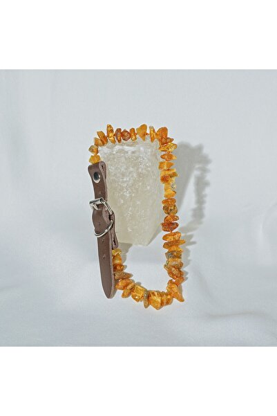 Sofi Maya Ayarlanabilir Deri Kayışlı Kehribar Kene ve Pire Tasması 50 cm-55 cm