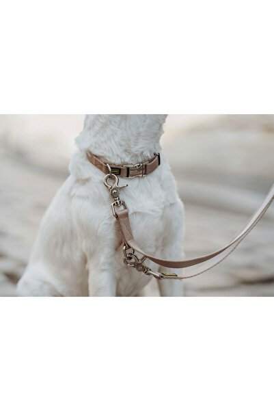 Hunter Dog collar Inari Beige M 30-45 cm