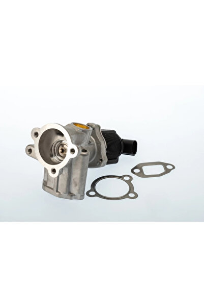 BorgWarner (Wahler) Supapa Egr Alfa Romeo Mito Fiat Doblo Autoutilitara/Limuz...
