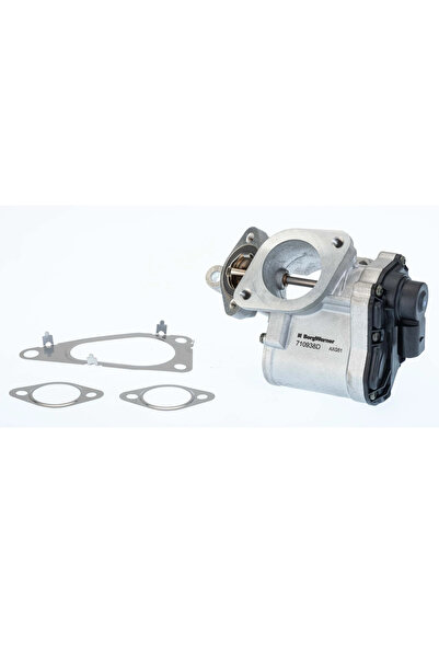 BorgWarner (Wahler) Supapa Egr Renault Laguna 2/Megane 2/Scenic 2 Suzuki Gran...