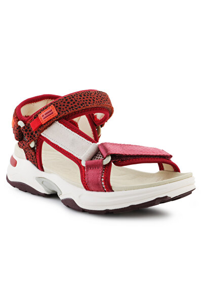 D.Franklin Sneakers Sandal Strips DFSH406003-Burg Burgundy