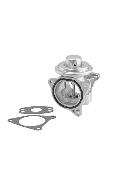 BorgWarner (Wahler) Supapa Egr Audi A3 Seat Altea/Cordoba/Ibiza 3 1999-2017