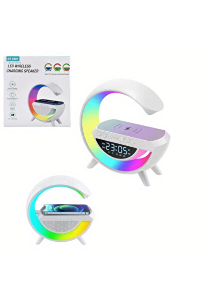 OEM LED speaker with wireless charging, multicolor, FM Radio