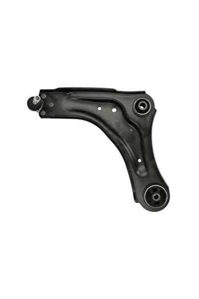 REINHOCH Lower Wheel Suspension Arm Renault Laguna 3/Laguna Cupe/Latitude