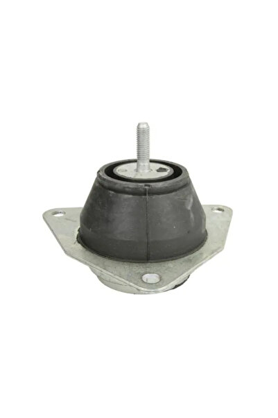 REINHOCH Suport Motor Dreapta Renault Avantime/Espace 3