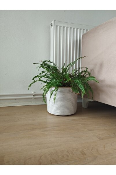 bayram taşcıoğlu home desing Multi-Purpose Organizer Basket Cobalt Warm Gift Basket