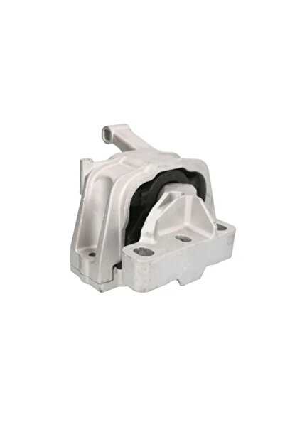 REINHOCH Suport Motor Dreapta Vw Sharan/Tiguan