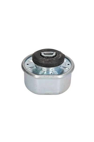 REINHOCH Suport Motor Pe Ambele Parti Vw Transporter T4 Bus/Transporter T4 Ca...
