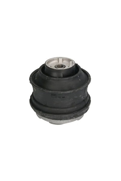 REINHOCH Suport Motor Dreapta Mercedes-Benz E-Class/S-Class