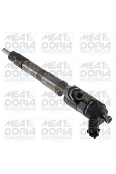 MEATDORIA Injector Fiat Ducato Bus/Ducato Caroserie/Ducato Platou / Sasiu Ive...