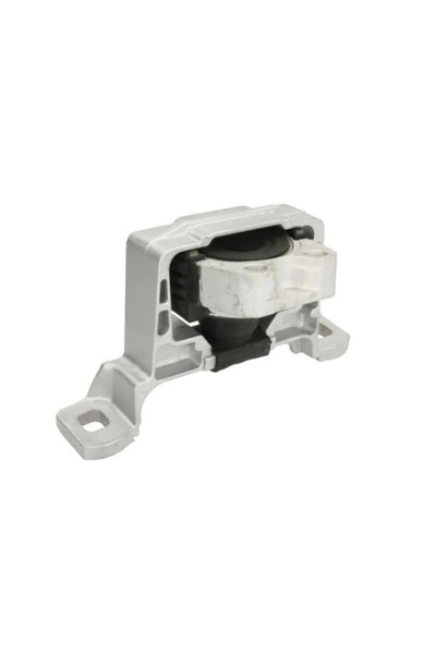 REINHOCH Suport Motor Dreapta Ford C-Max/Focus 1/Focus 2