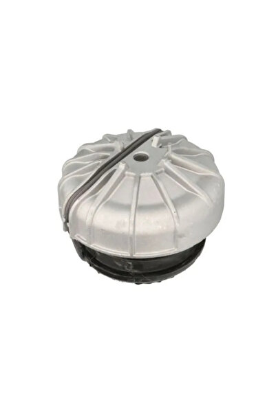 REINHOCH Suport Motor Fata Mercedes-Benz Viano/Vito / Mixto Caroserie/Vito Bus