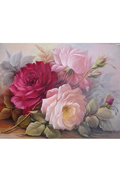 Rich KOLAY TRANSFER BÜYÜK AÇIK ZEMİN 6726