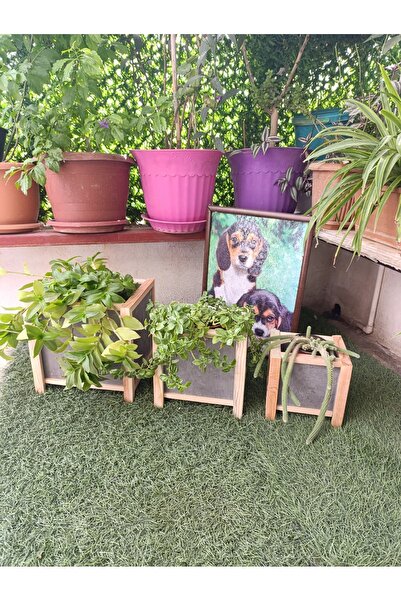EFRU GÜMÜŞ NATURAL 3 LÜ SAKSI SETİ EFGÜNA-1