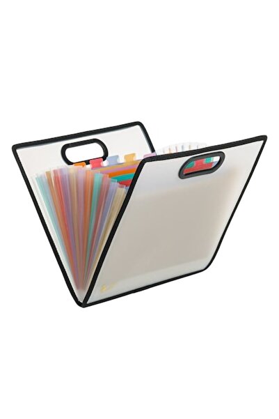 SHOPIENS A4 Frosty Organizer Briefcase, 13 Compartments, Plastic, Multicolor, Transparent